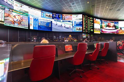 Palms Bet Sports Betting and Casino Online 